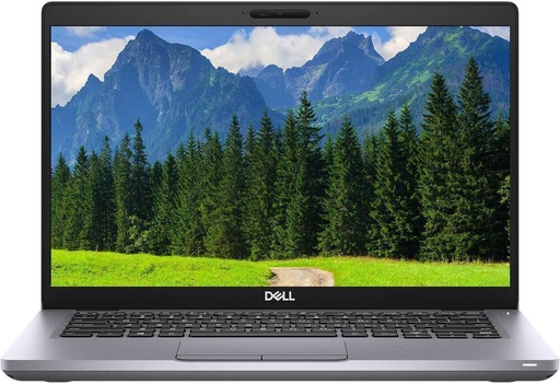 Notebook DELL Latitude 5411 Core i5-10400H GradoB (RAM: 8GB DDR4, SSD: 256GB M2, Grado: B)